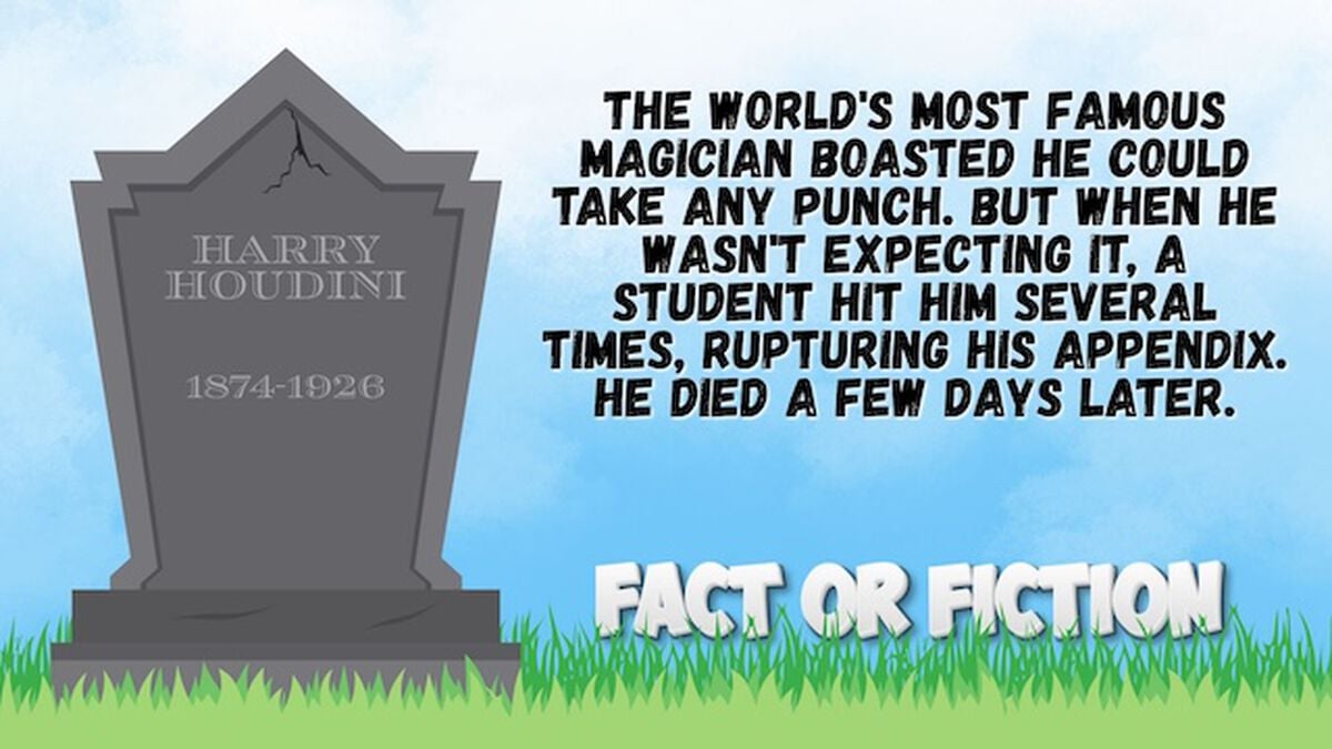 Dumb Ways To Die: Fact or Fiction image number null